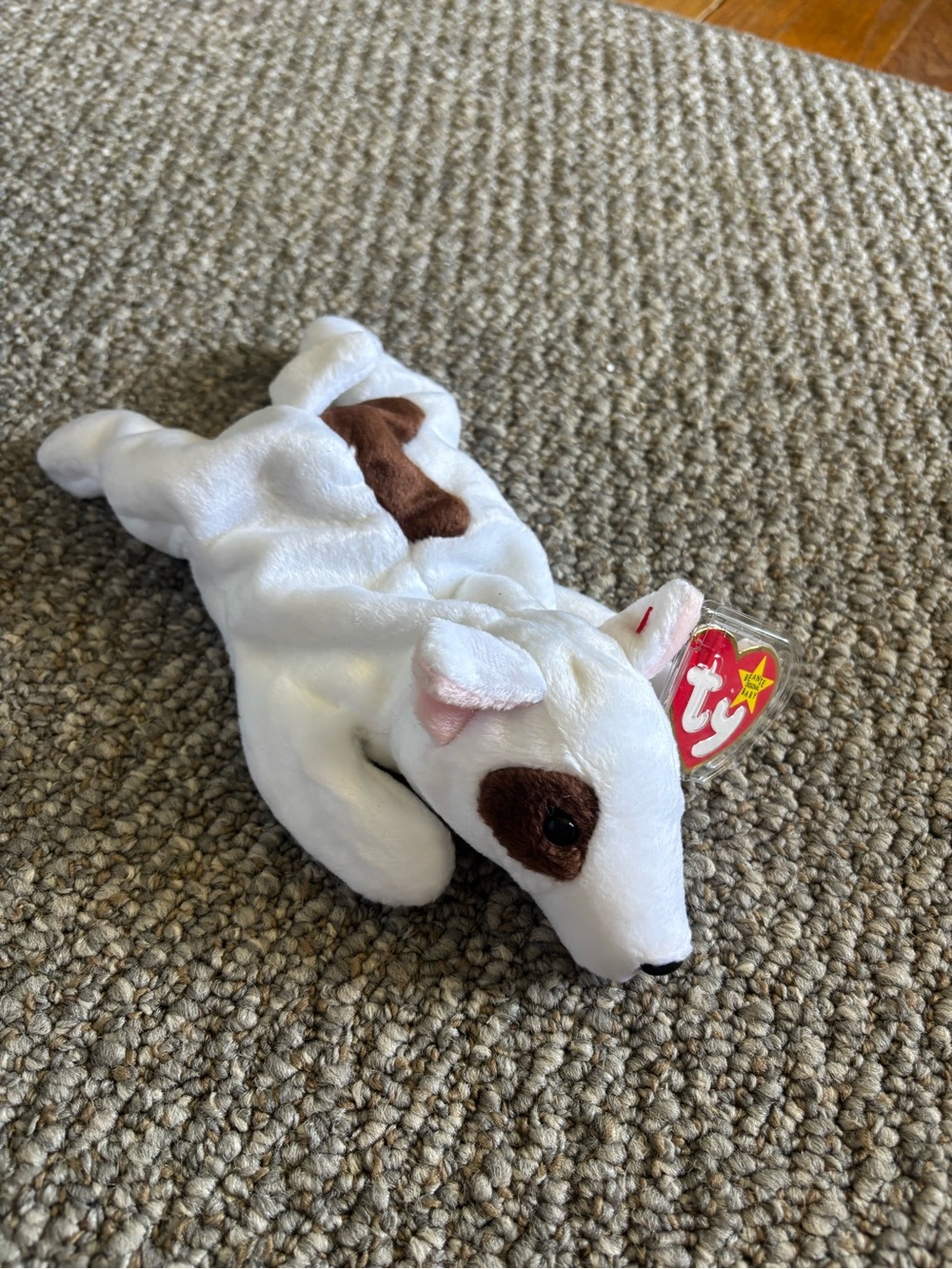 Ty Beanie Baby Butch